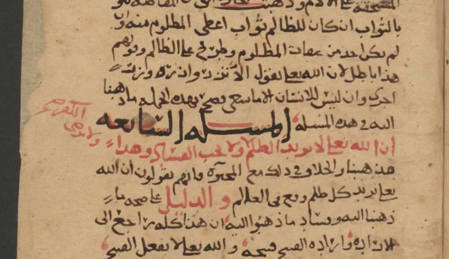 Muslim Champions of Free Will: The Zaydi Thirty Topics Tradition in Yemen
