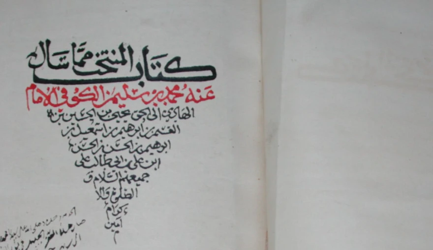 On The Historical Potential of Zaydi Legal Sources