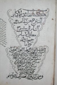 Fig2